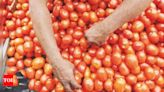 Tomato prices hit a century online in Bengaluru | Bengaluru News - Times of India
