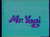 Mr. Yogi (TV series)