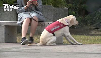 帶導盲犬到「起家雞」竟遭拒 店員稱：寵物不可