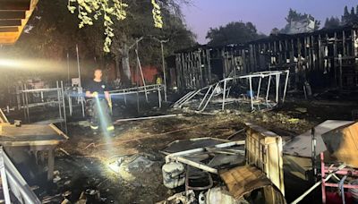 Fire damages two Roseville homes, kills 'multiple animals'