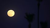 When is the next full moon? It's going to be a super one in August