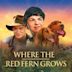 Where The Red Fern Grows