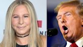 Barbra Streisand Defends Taylor Swift Against Donald Trump's 'Disloyal' Claim