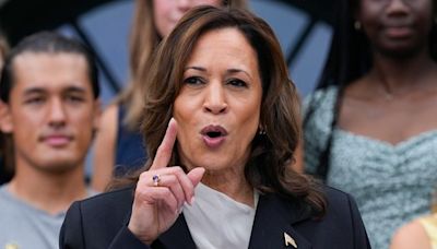 Former prosecutor v convicted criminal - Kamala Harris brings new energy to presidential race like no other