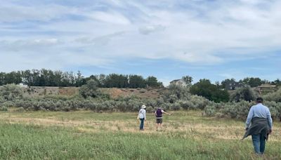 Richland park project was supposed to help shrub steppe. Why are people up in arms?