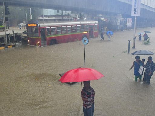 IMD predicts rain, thunderstorms in Maharashtra; holiday for schools in parts of Vidarbha and Raigad