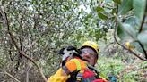 'Not even a scratch': Deaf dog who fell 100 feet down a California ravine rescued safely