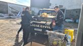 Justiça autoriza envio de comida saqueada em Eldorado às vítimas das chuvas