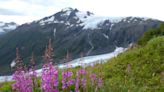 You don't need to fly to Norway to view fjords. Just go to this Alaskan national park