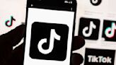 TikTok has sued the US over a law that could ban its app. What's the legal outlook?