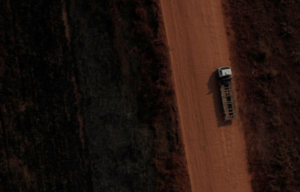 Brazil judge blocks paving of highway through heart of Amazon rainforest