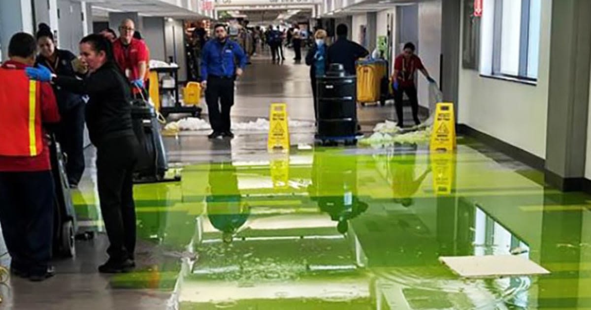 Bright green fluid gushed from Miami International Airport ceiling on July 4th, flooding concourse
