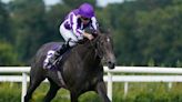 Bedtime Story and Hotazhell win at Leopardstown