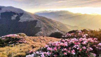 太魯閣牌樓往天祥落石風險極高 太管處籲合歡山賞花由西部進入