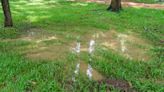Negligent HOA ‘dumps’ water onto helpless homeowner’s property each time it rains: ‘I have raised the issue directly’