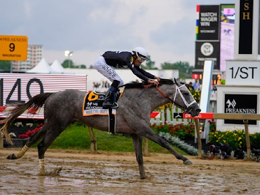 Seize the Grey Wins the Preakness, Ending Mystik Dan’s Triple Crown Bid