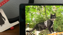 Turn your old iPad into a digital picture frame