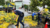 員警化身伐木工｜暖心霧峰分局警搬樹排除路障安民心