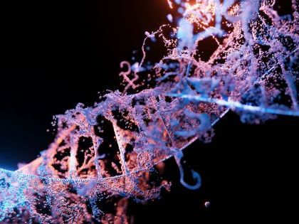 La técnica genética de la longevidad: un investigador asegura haber encontrado el secreto en nuestro ADN para vivir más años