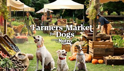 Ian Somerhalder and NUTRO's First-Ever 'Farmers Market For Dogs' Is Coming to LA and It's a Total Can't Miss