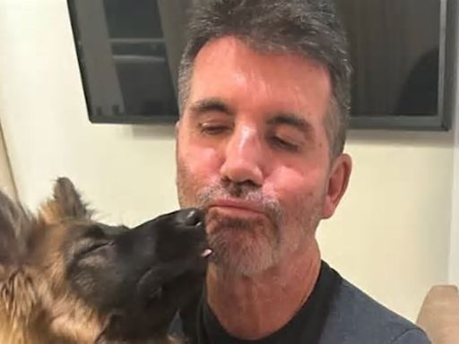 Simon Cowell hires Britain's Got Talent star to help tame wild pet German Shepherd: 'She's a little bit naughty'