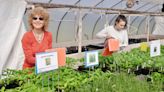 URI master gardeners to distribute seedlings to Rhode Island nonprofits | ABC6