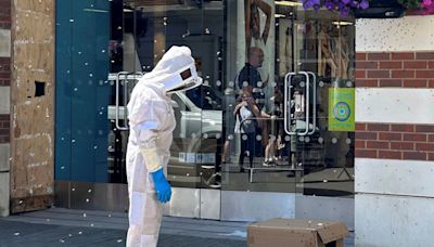 Primark shoppers run for cover after swarm of bees swoop on Kent store