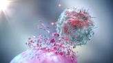 Immunotherapy Continues to Shape the future of Can | Newswise