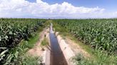 Urgen a tecnificar sistemas de riego, productores buscan el uso eficiente y responsable del agua