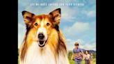 Película: "Lassie (Una nueva aventura)"