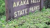 Weekday closures to begin at Akaka Falls State Park for rockfall mitigation