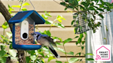 I’m obsessed with bird-watching and the Bird Buddy smart bird feeder is my new, favorite gadget