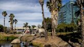 The La Brea Tar Pits are full of mysteries. Here are three of the most puzzling