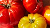 How Healthy Are Tomatoes?