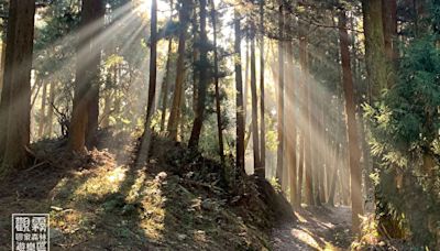 炎炎夏日走入觀霧森林 開箱解說員一日生活