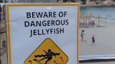 Fake signs warning of falling rocks and jellyfish put up on Balearic beaches to deter tourists