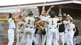 N.J. baseball state tourney preview, North 2: Power squads primed for success