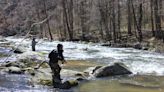 Stories of the Land: Renewal on the river through fly fishing