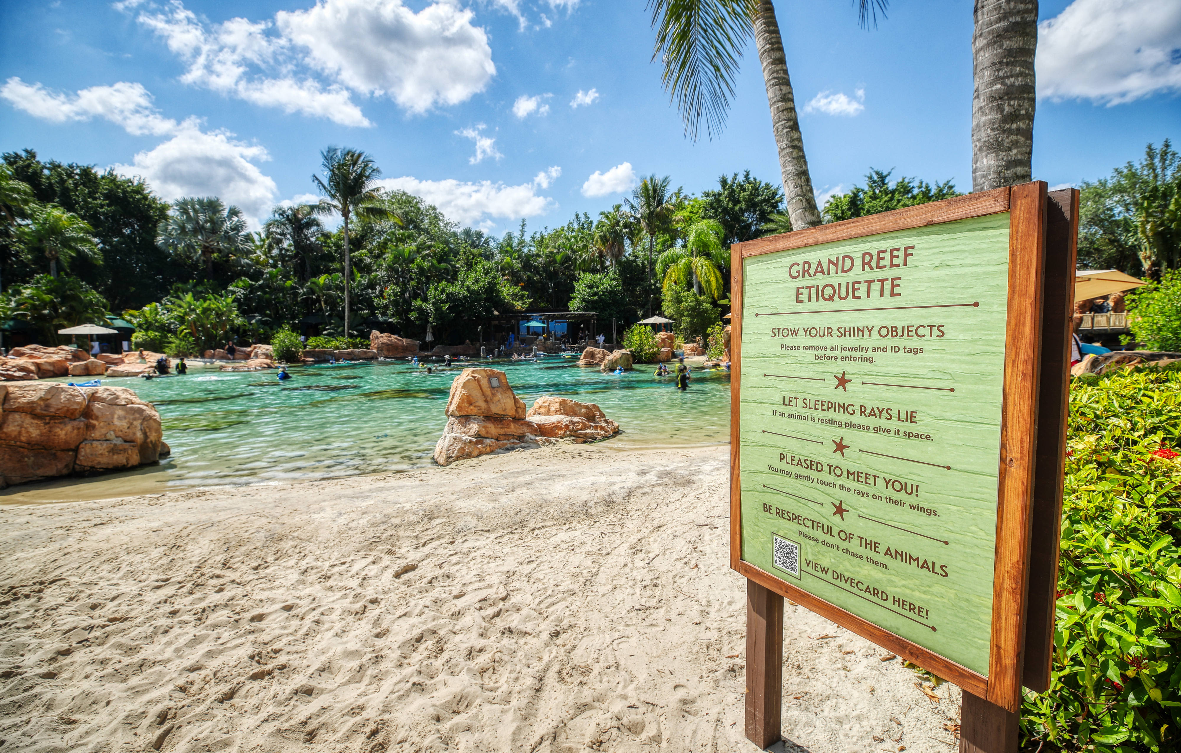Girl, 13, dies after being found ‘unresponsive’ in Discovery Cove pool