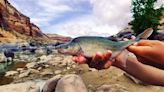 Equilibrium/Sustainability — Scientists rush to save ancient Colorado River fish