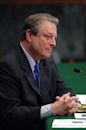 Al Gore and information technology