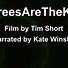 Watch #TreesAreTheKey - The Word Forest Organisation