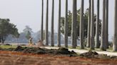 Joia de Burle Max: jardins do MAM passam por grande recuperação após 24 anos, para o G20