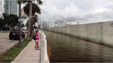 ¿Cómo debe protegerse Miami-Dade de futuras tormentas? El condado quiere su opinión