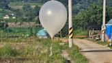 North Korea sends hundreds of balloons carrying poo into South