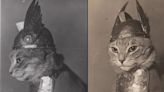 La legendaria gata “Brunilda” y la historia detrás de la icónica fotografía de la “valquiria felina”