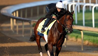 Meet the 10 horses running in Saturday's Belmont Stakes