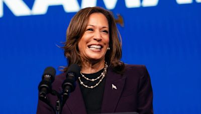 Kamala Harris interviewing top vice-presidential contenders