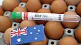Australia reports new avian flu case at poultry farm