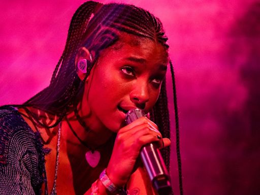 Willow Smith Said Nepo Baby "Insecurity" Ultimately Pushed Her Harder